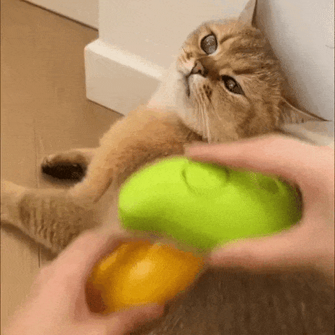 Pet Steam Brush™