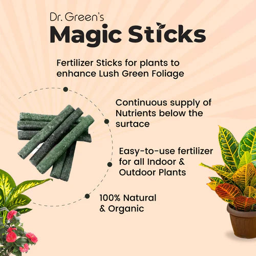 Magic Plant Sticks™ (Buy 1 Get 3 Free)