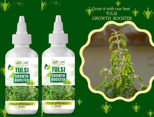 Tulsi Growth Booster Pack of 2