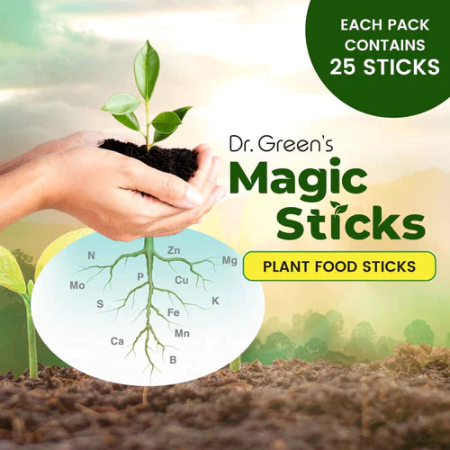 Magic Plant Sticks™ (Buy 1 Get 3 Free)