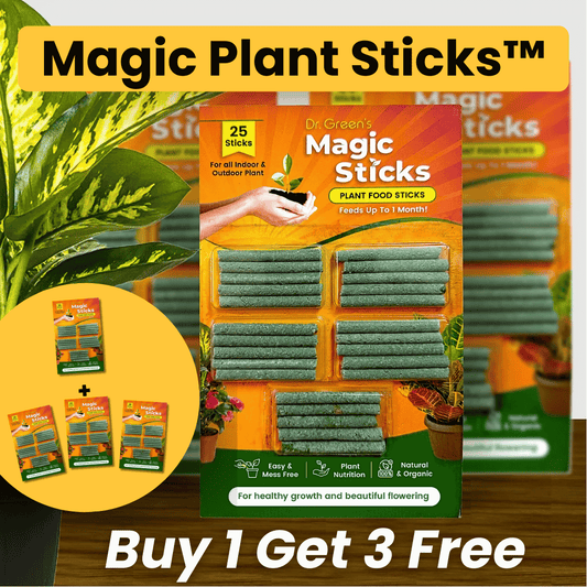 Magic Plant Sticks™ (Buy 1 Get 3 Free)