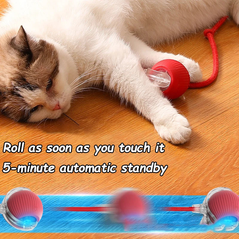 PurrPlay™ Interactive Ball + Treats Recipe E-Book