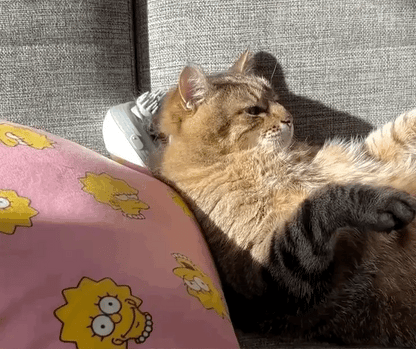 PawRelief™ – Pet Anxiety Soothing Massager