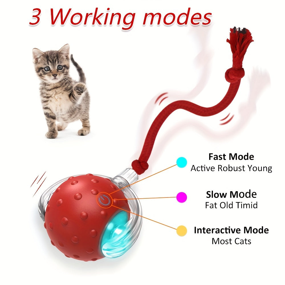 PurrPlay™ Interactive Ball + Treats Recipe E-Book