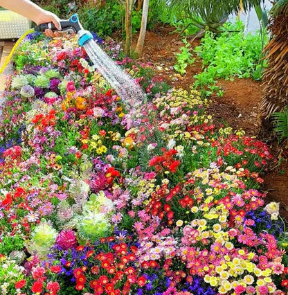 Premium Flower Seeds (Pack of 100) + FREE Plant Growth Supplement