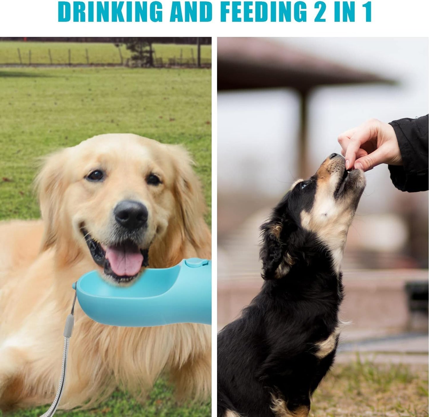 2in1 Pet Water Bottle and Food Container for Dogs