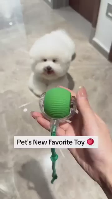 PurrPlay™ Interactive Ball + Treats Recipe E-Book