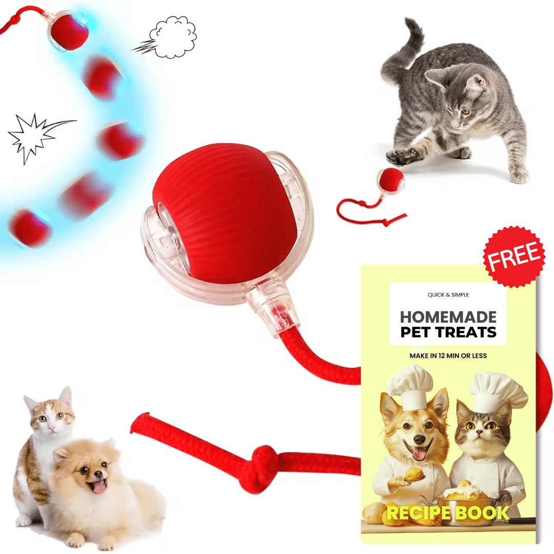 PurrPlay™ Interactive Ball + Treats Recipe E-Book