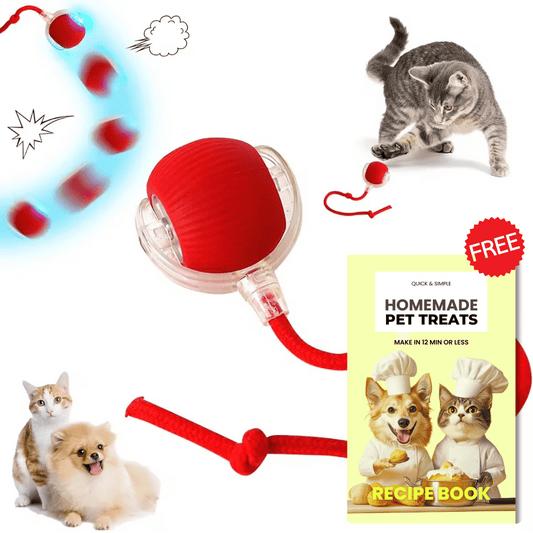 PurrPlay™ Interactive Ball + Treats Recipe E-Book